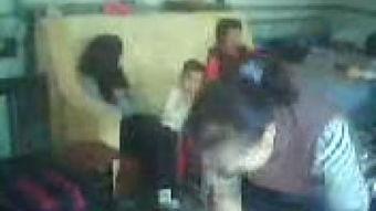 国产调教视频AA,揭秘独特魅力与情感互动