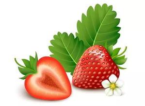 100草莓视频国产97,国产97的精彩瞬间回顾